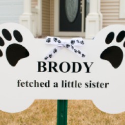 brody_dog_sibling